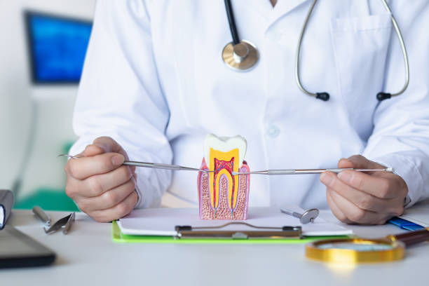 Best Emergency Tooth Extraction in Rutherford, TN